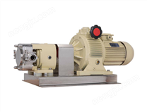 无极调速转子泵